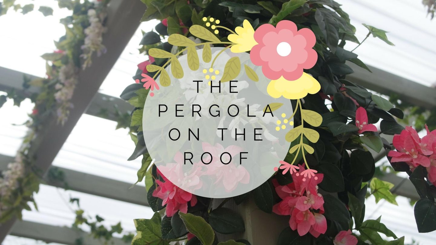 Pergola On The Roof, Shepherds Bush || London | FrannyMac