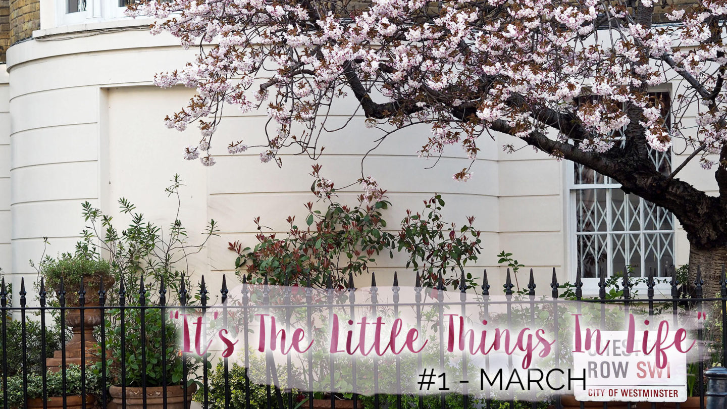 "It's The Little Things In Life" - #1 - March || Life Lately