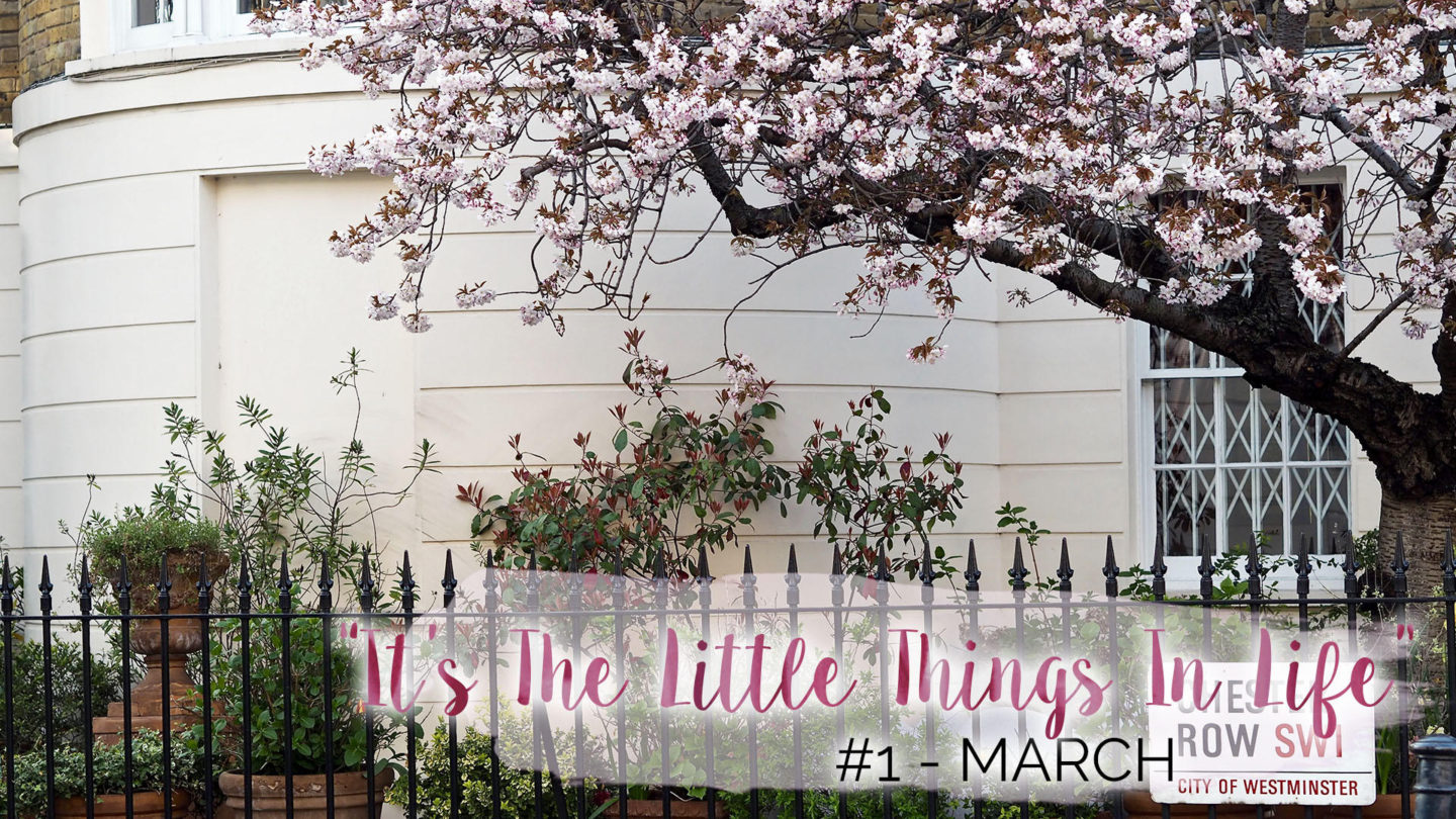 “It’s The Little Things In Life” – #1 – March || Life Lately