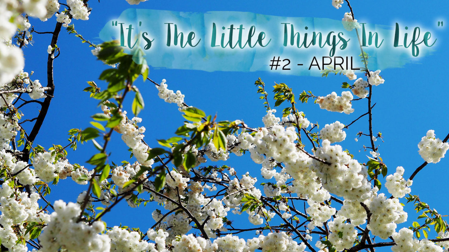 "It's The Little Things In Life" - #2 - April || Life Lately