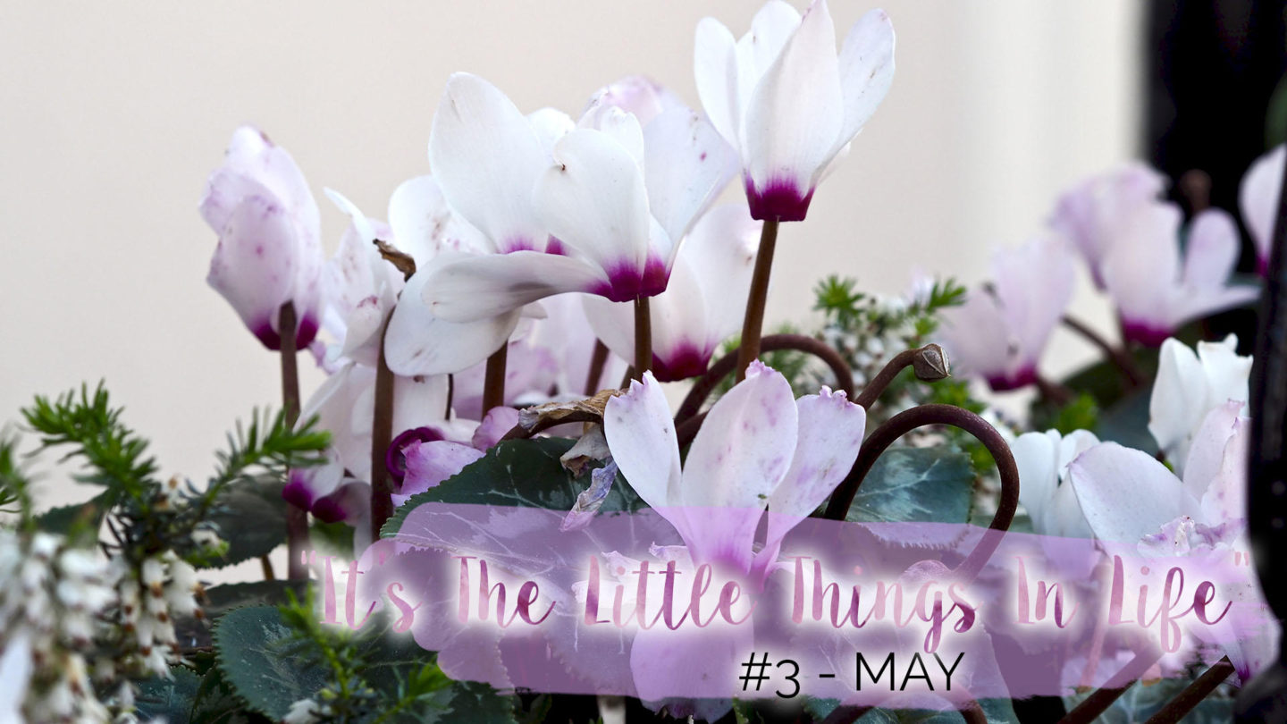 “It’s The Little Things In Life” – #3 – May || Life Lately