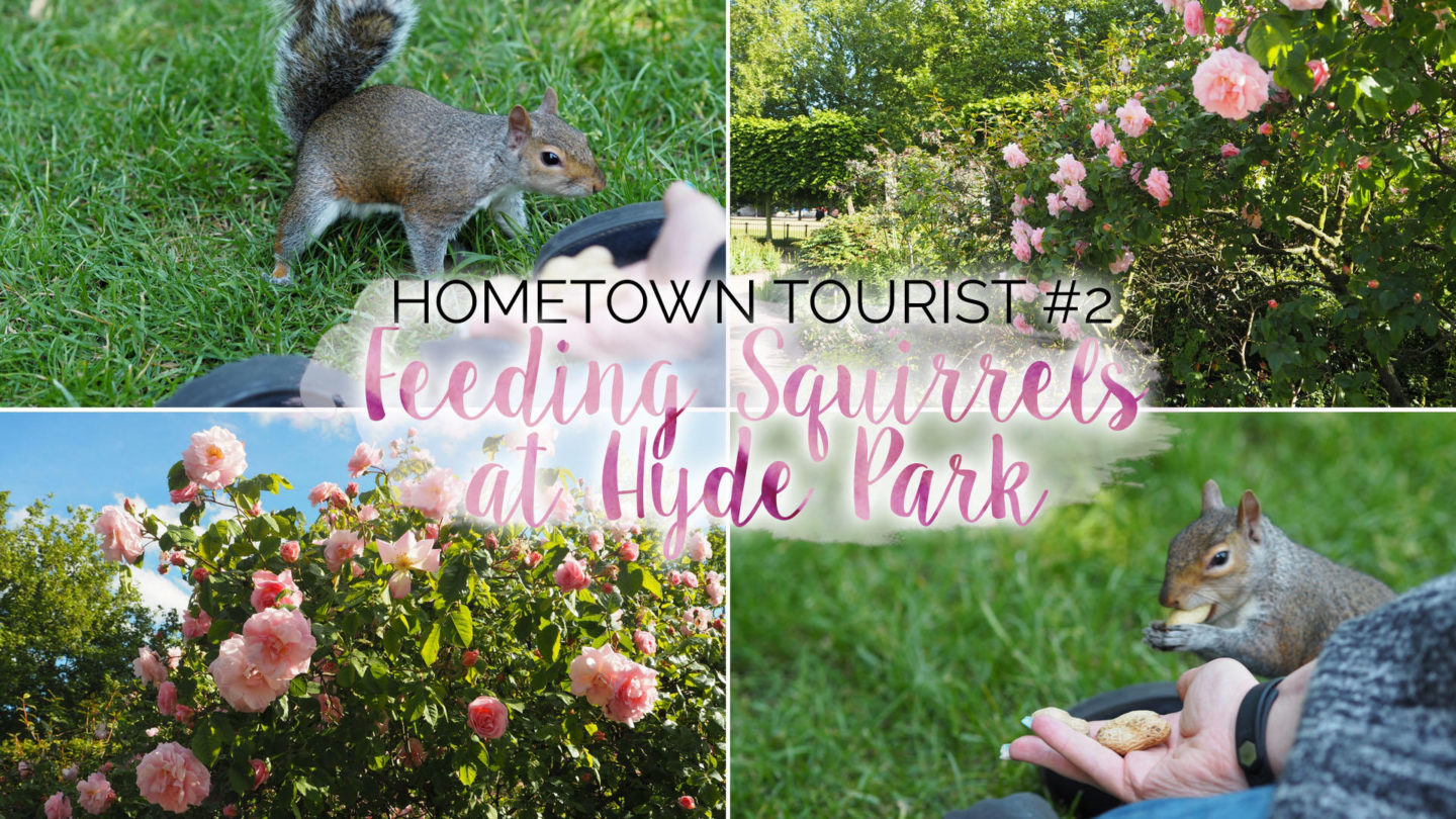 Hometown Tourist #2 – Feeding Squirrels at Hyde Park || Travel