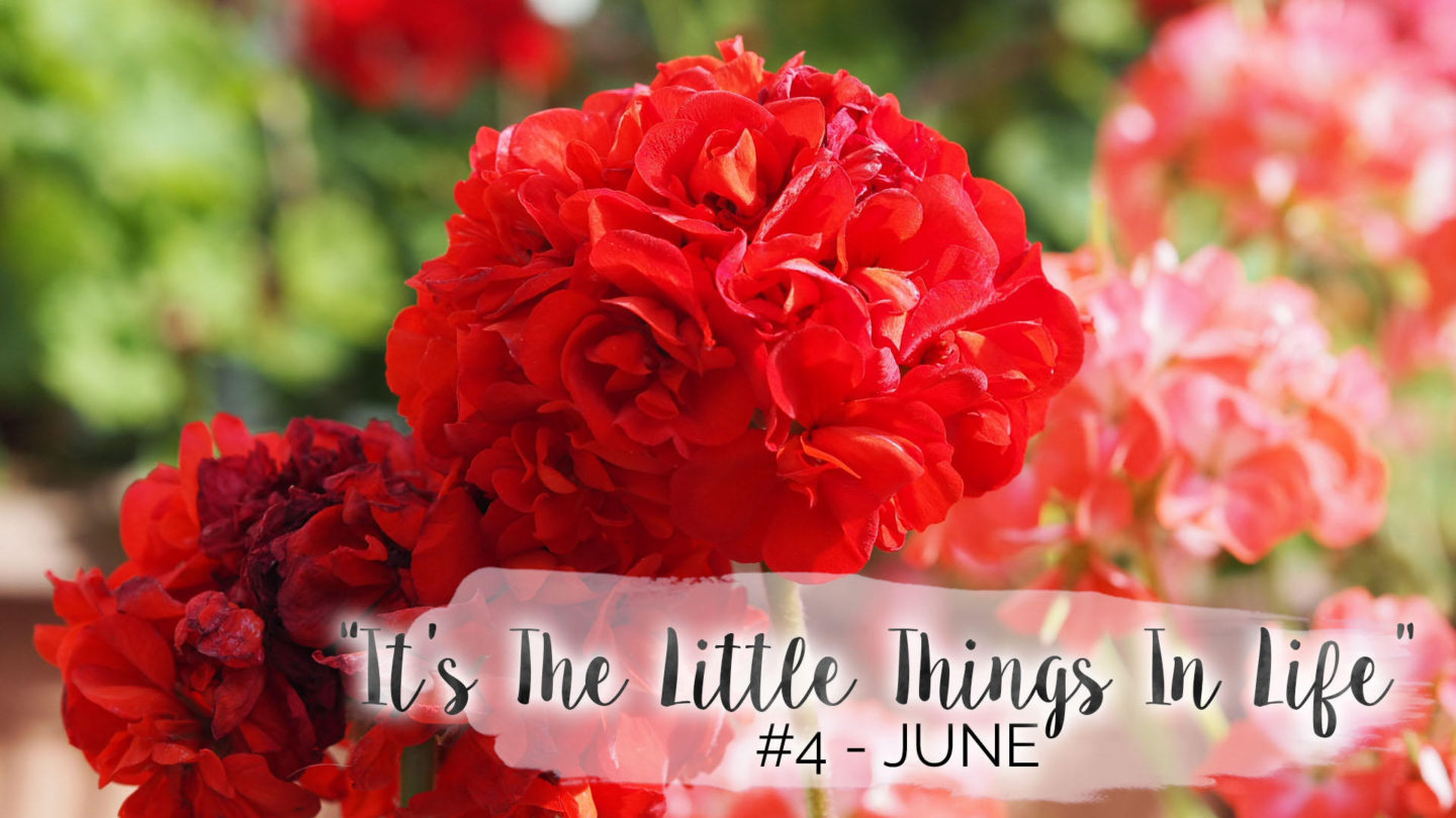 "It's The Little Things In Life" - #4 - June || Life Lately