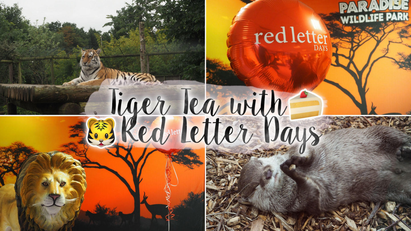 The Tiger Who Came To (Afternoon) Tea ft Red Letter Days || Lifestyle