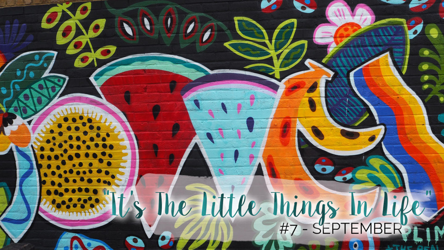 “It’s The Little Things In Life” – 7 – September || Life Lately