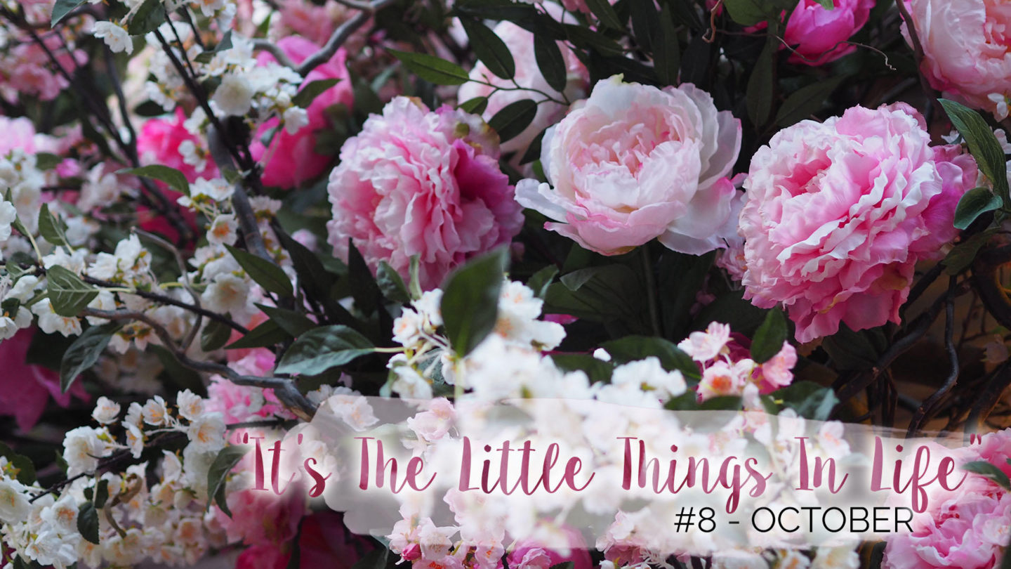 “It’s The Little Things In Life” – 8 – October || Life Lately