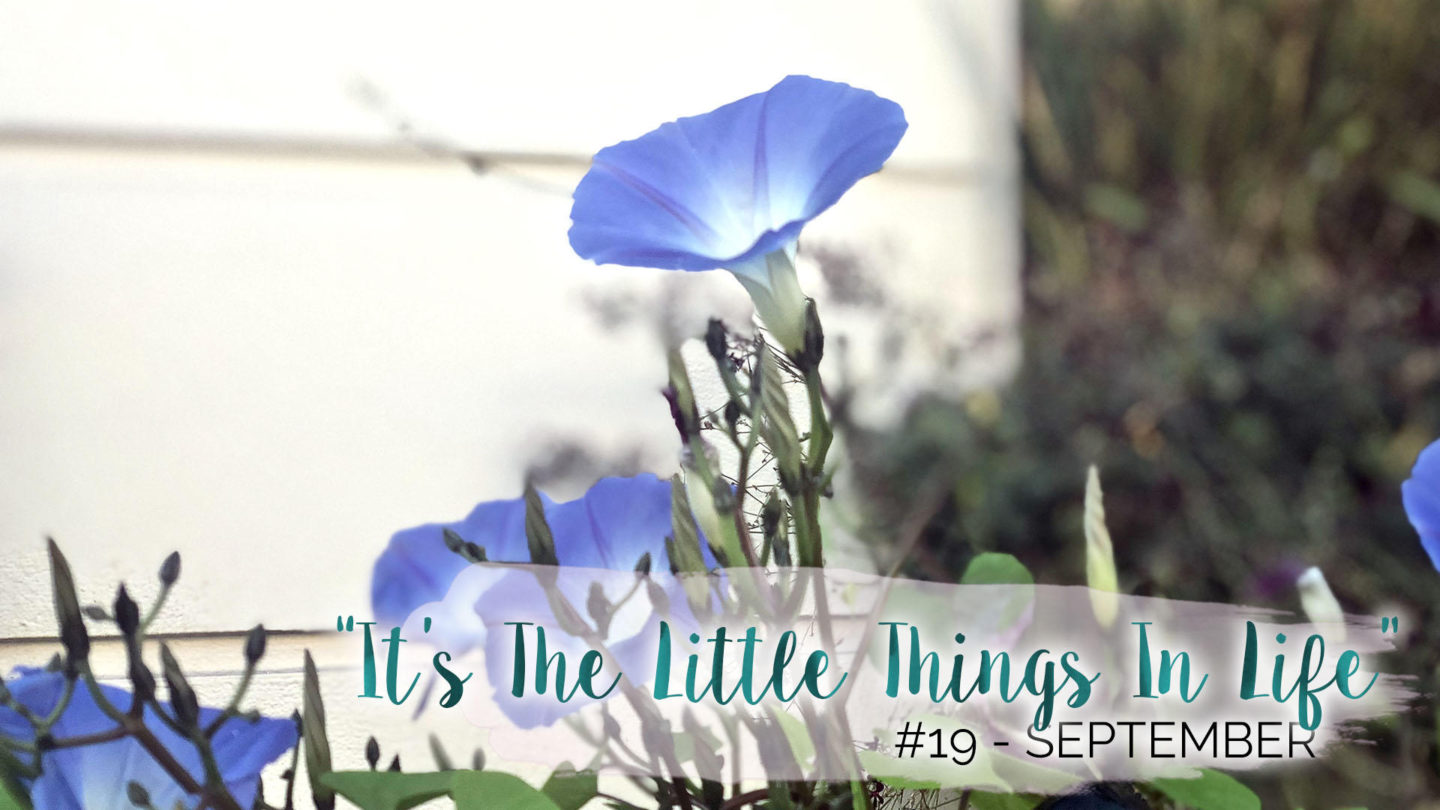 "It’s The Little Things In Life" - 19 - September || Life Lately