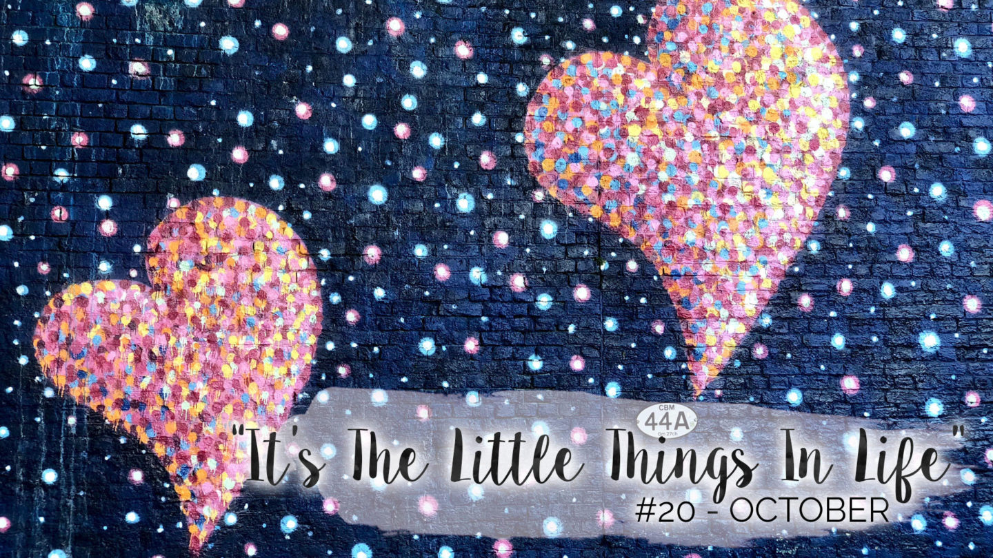 “It’s The Little Things In Life” – 20 – October || Life Lately