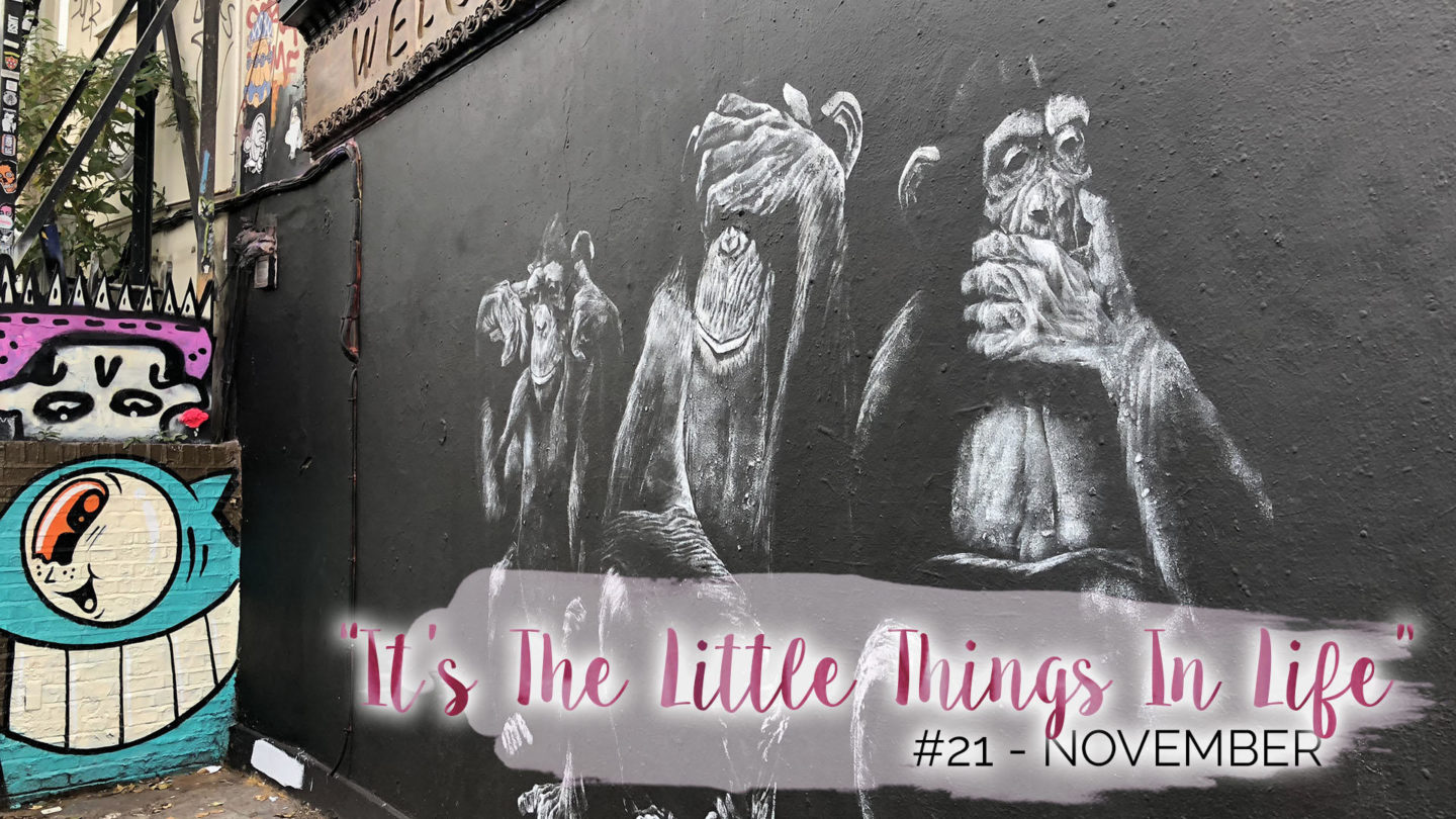 "It's The Little Things In Life" - 21 - November || Life Lately