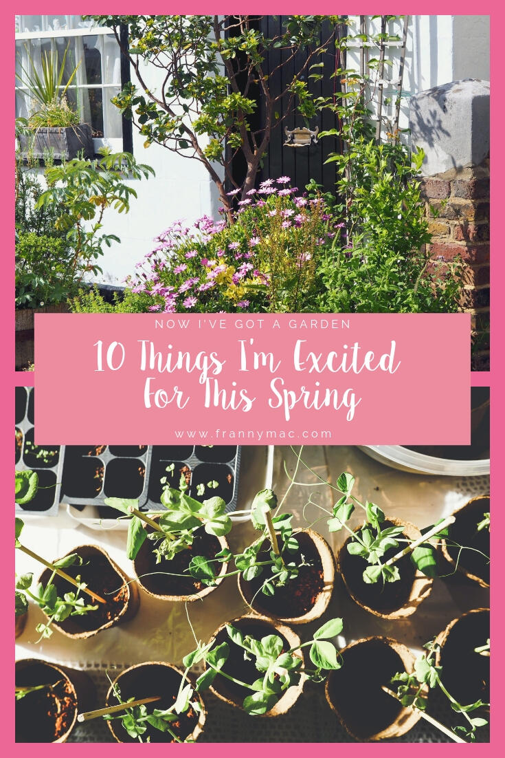 10 Things I'm Excited For This Spring (In The Garden) || Life Lately