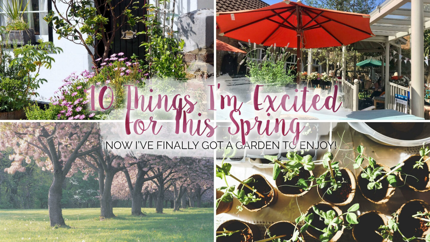 10 Things I'm Excited For This Spring (In The Garden) || Life Lately