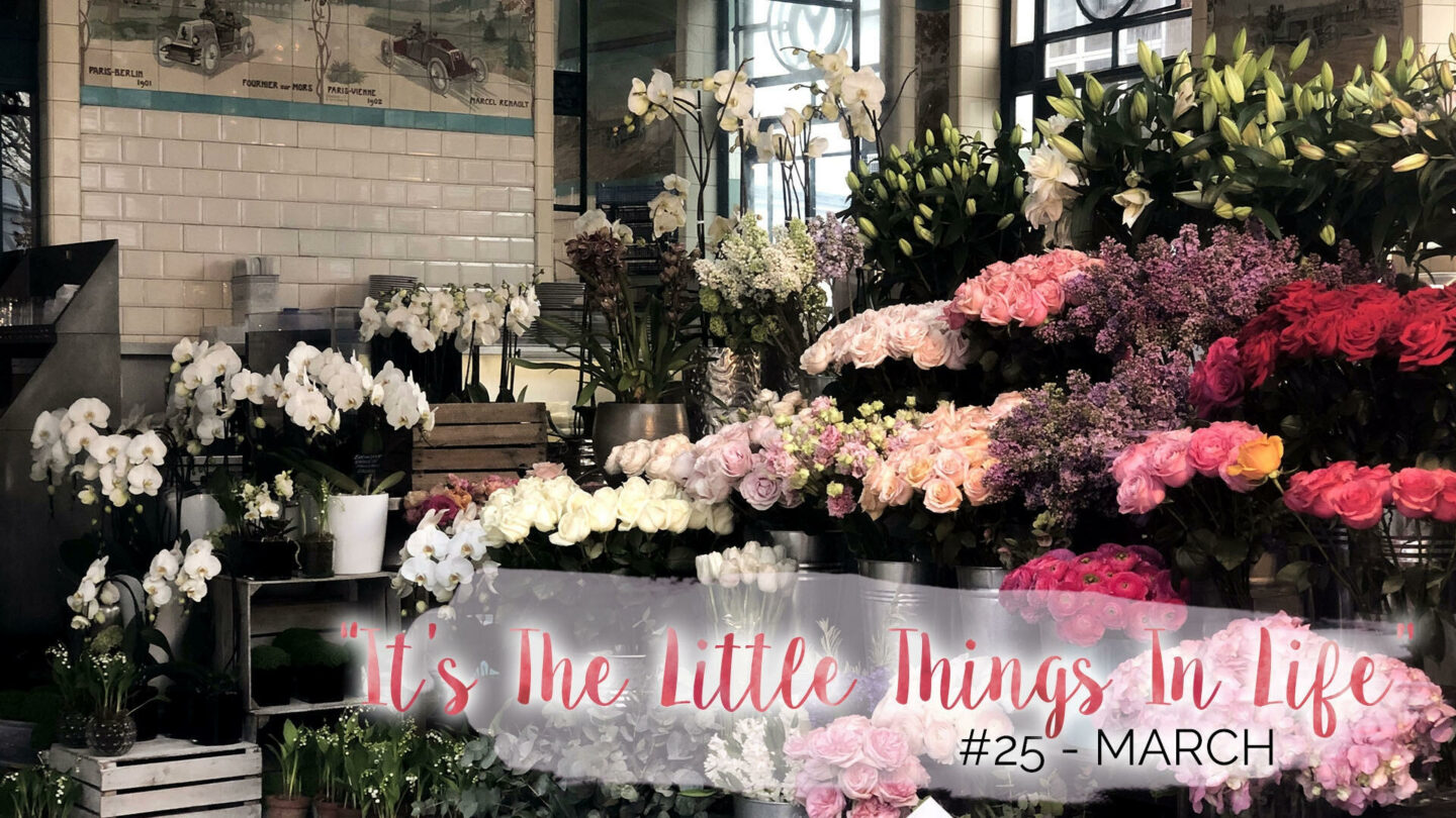“It’s The Little Things In Life” – 25 – March || Life Lately