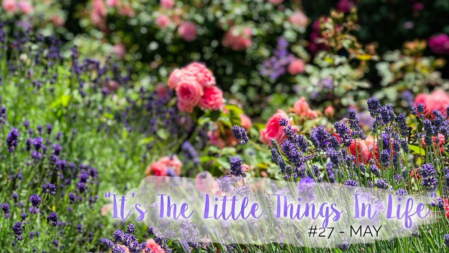 “It’s The Little Things In Life” – 27 – May || Life Lately