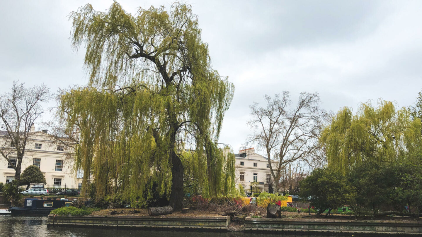 Ahoy Captain! Setting Sail with GoBoat Paddington || London