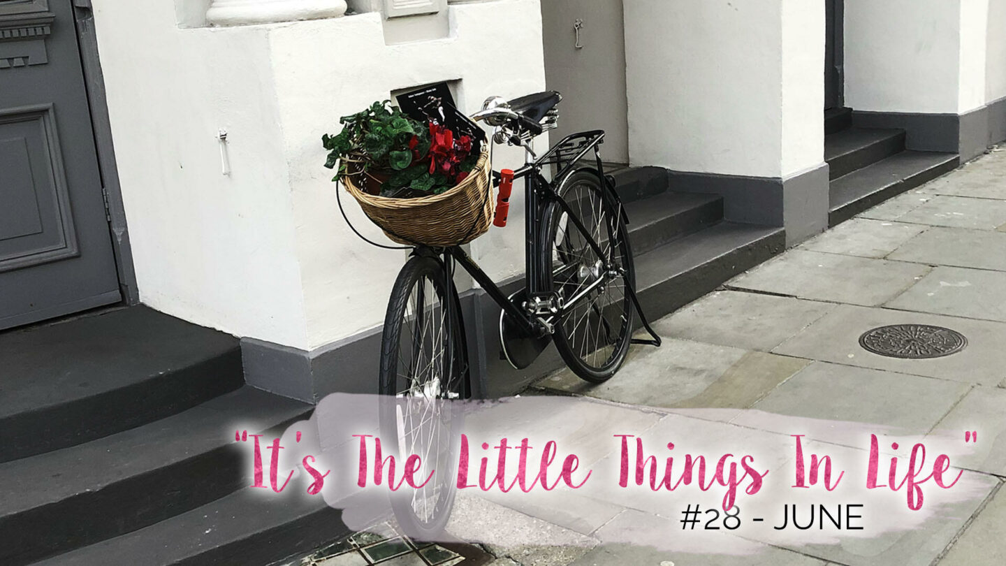 “It’s The Little Things In Life” – 28 – June || Life Lately