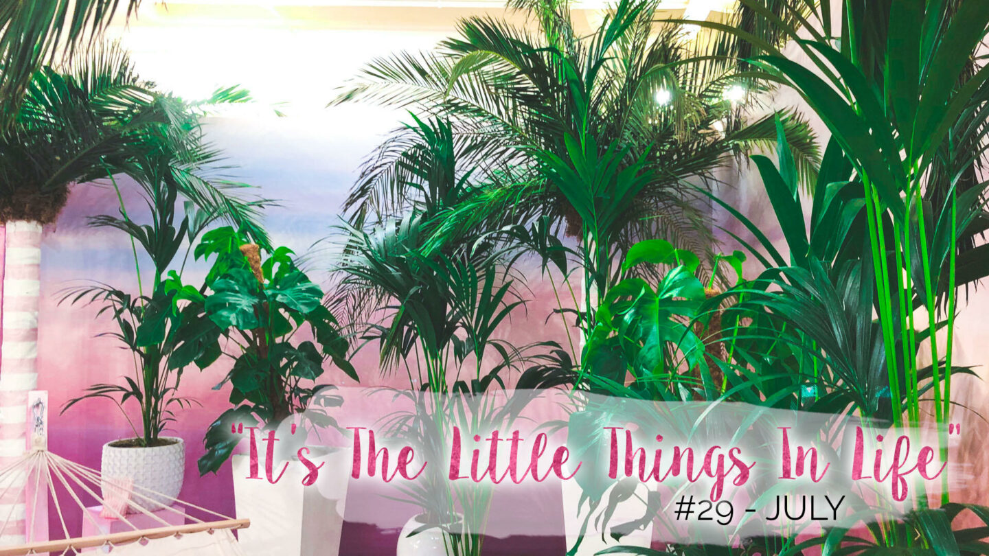 “It’s The Little Things In Life” – 29 – July || Life Lately