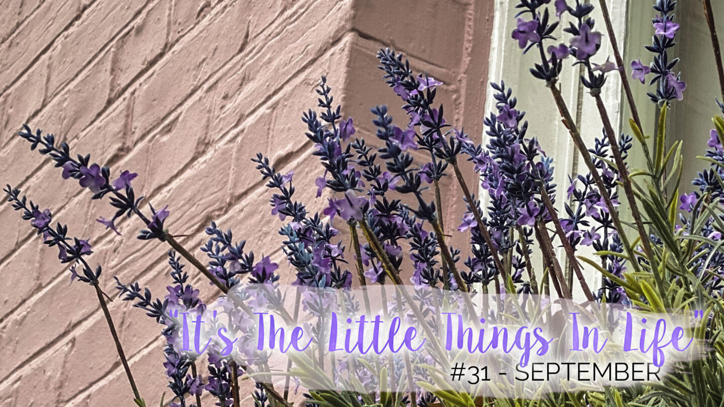 "It's The Little Things In Life" - 31 - September || Life Lately
