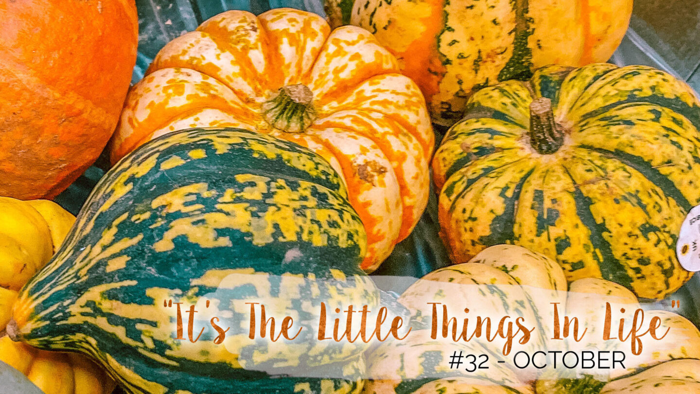 "It's The Little Things In Life" - 32 - October || Life Lately