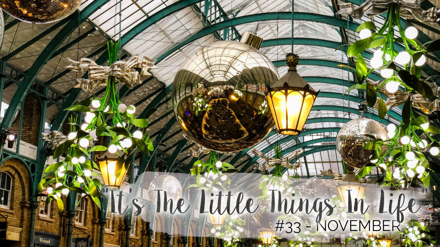 “It’s The Little Things In Life” – 33 – November || Life Lately